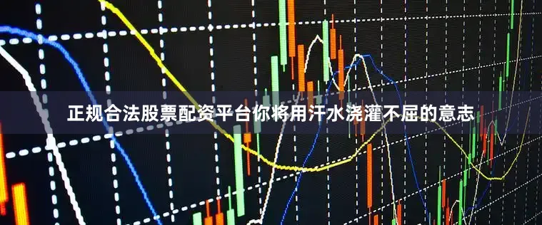 正规合法股票配资平台你将用汗水浇灌不屈的意志