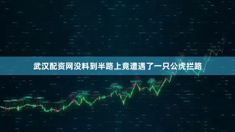 武汉配资网没料到半路上竟遭遇了一只公虎拦路