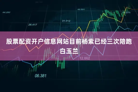 股票配资开户信息网站目前杨紫已经三次陪跑白玉兰