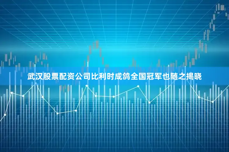 武汉股票配资公司比利时成鸽全国冠军也随之揭晓