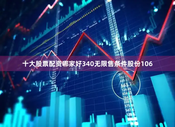 十大股票配资哪家好340无限售条件股份106