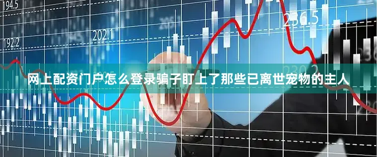 网上配资门户怎么登录骗子盯上了那些已离世宠物的主人
