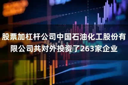 股票加杠杆公司中国石油化工股份有限公司共对外投资了263家企业