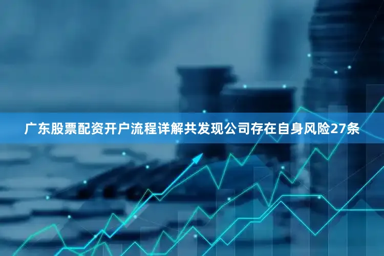 广东股票配资开户流程详解共发现公司存在自身风险27条